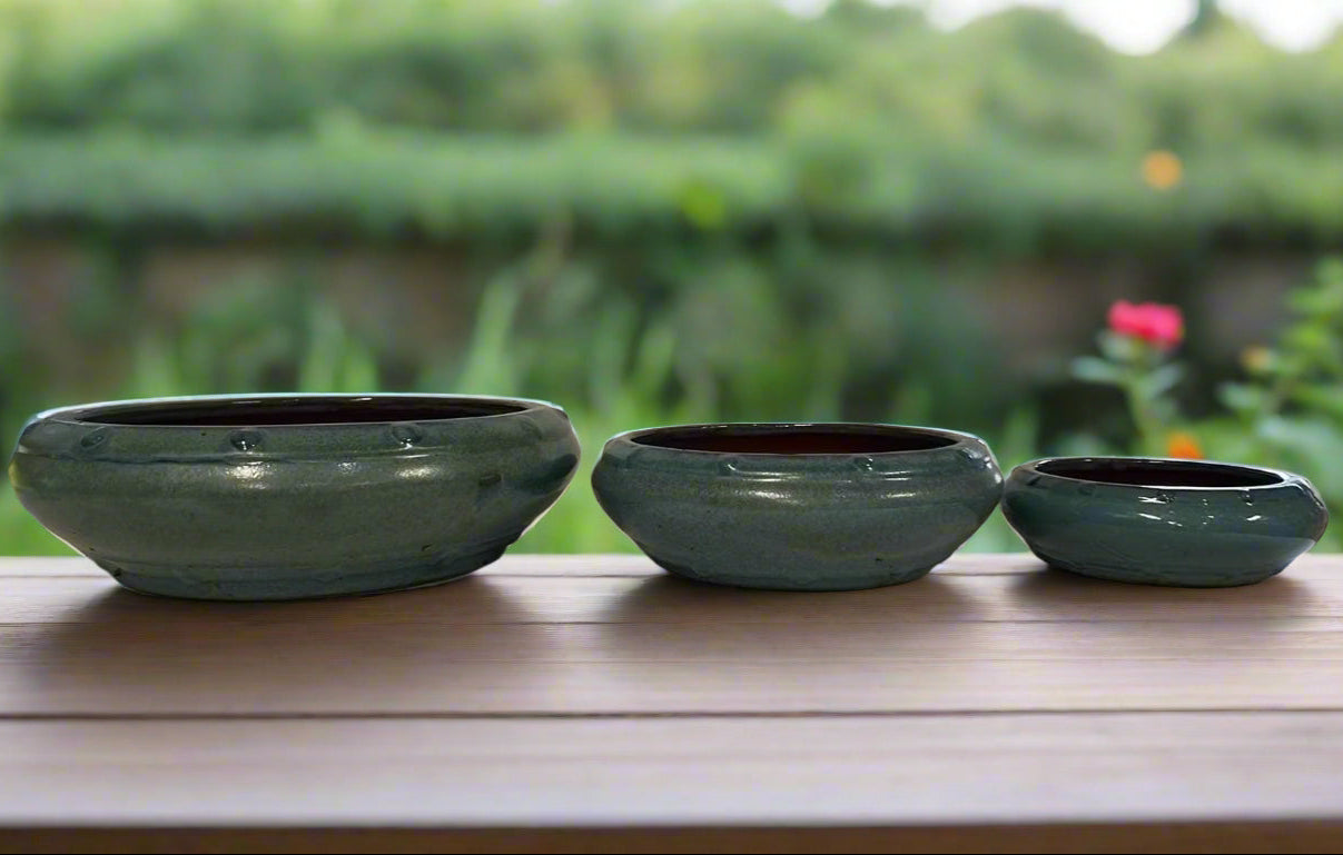 Bonsai